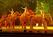 Chimelong International Circus